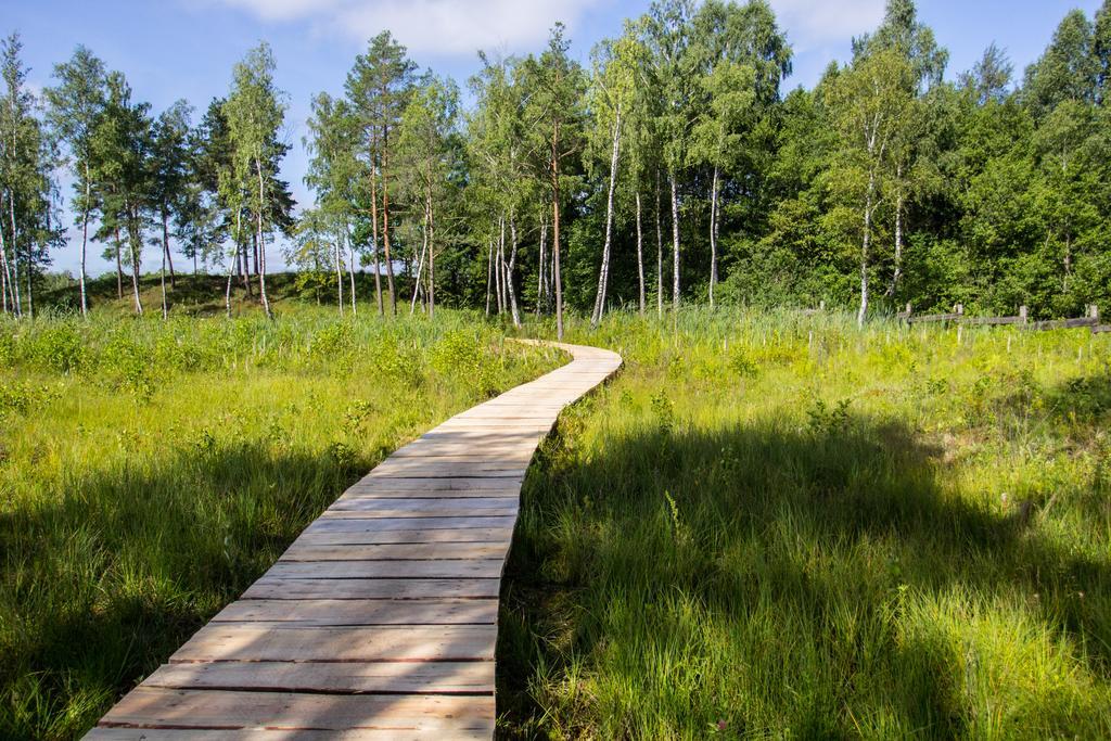 Siedlisko Wigry Bed & Breakfast Rosochaty Rog Exterior photo
