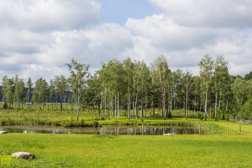 Siedlisko Wigry Bed & Breakfast Rosochaty Rog Exterior photo