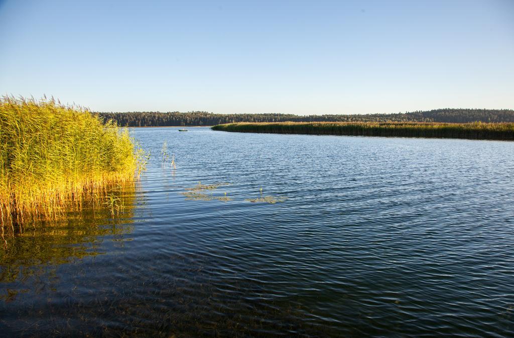 Siedlisko Wigry Bed & Breakfast Rosochaty Rog Exterior photo