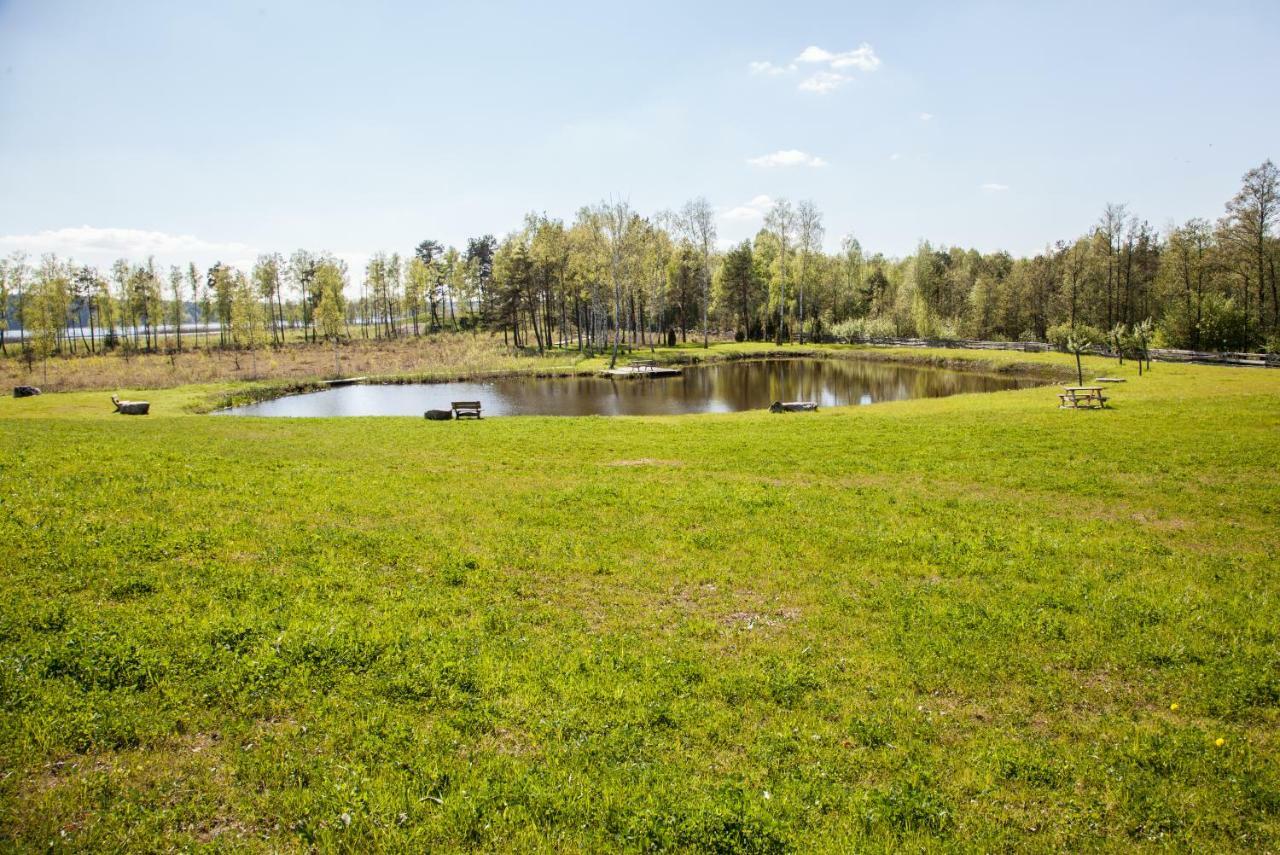 Siedlisko Wigry Bed & Breakfast Rosochaty Rog Exterior photo