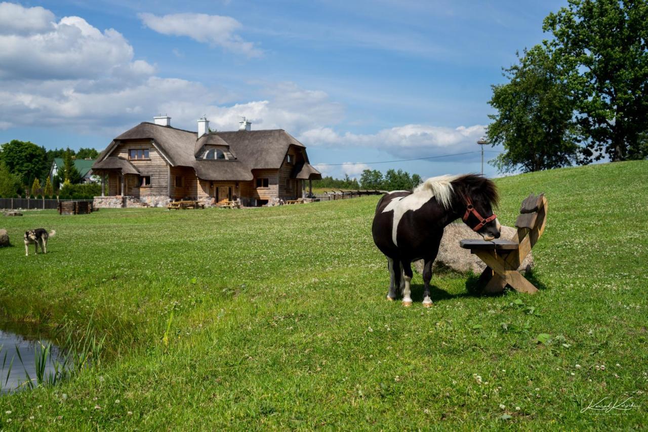 Siedlisko Wigry Bed & Breakfast Rosochaty Rog Exterior photo