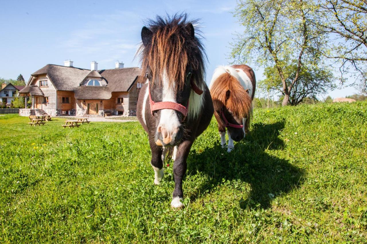 Siedlisko Wigry Bed & Breakfast Rosochaty Rog Exterior photo